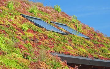 Easter Howgate living roof systems