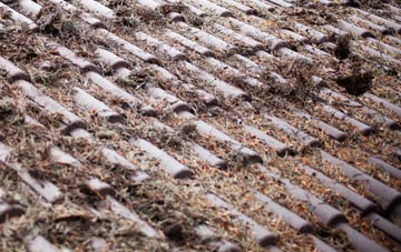 Easter Howgate roof cleaning companies